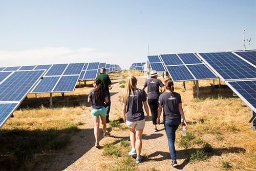 Students walk through a field of solar panels