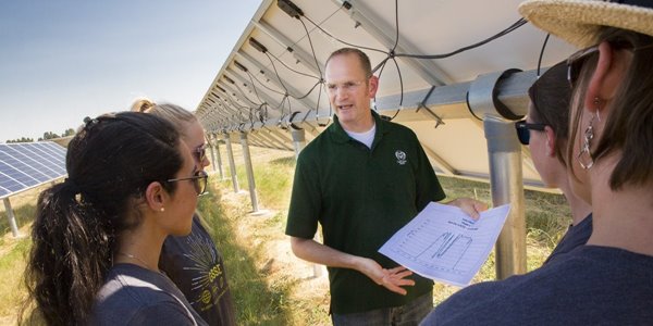 CSU Impact MBA students at a solar farm.