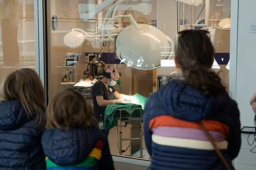 Students watch a surgery at the Spur Campus